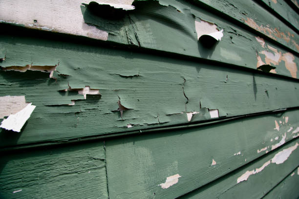Best Storm Damage Siding Repair  in Glassboro, NJ