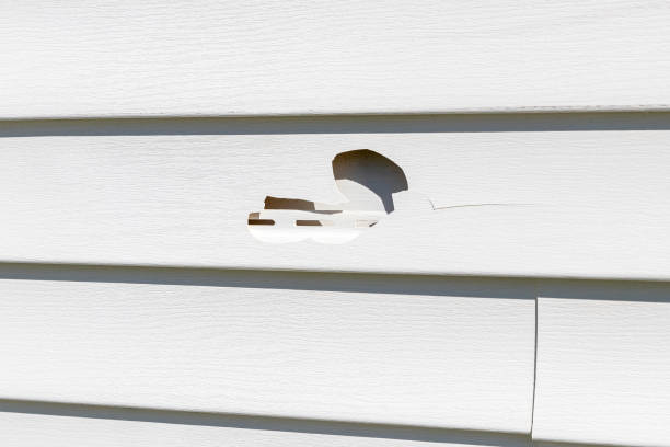 Best Siding Removal and Disposal  in Glassboro, NJ